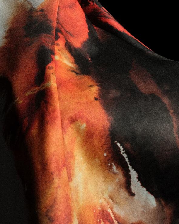 至继续进化 至继续进化