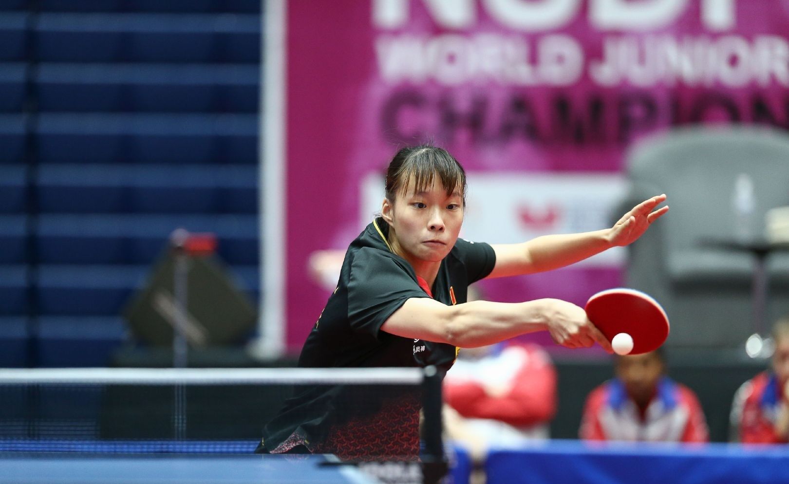 但舍夫勒和 但舍夫勒和